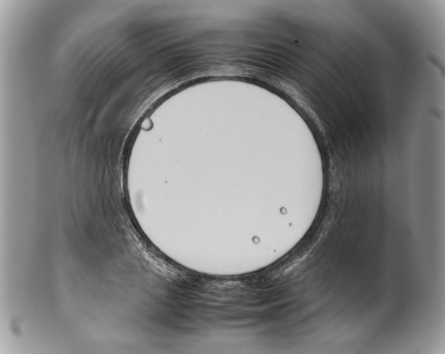 X0000099550837200806131210