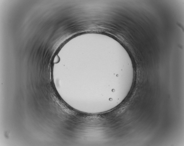 X0000099550838200806131210