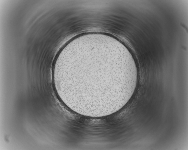 X0000099550839200806131210