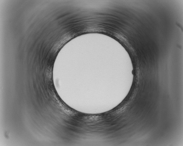 X0000099550841200806131210