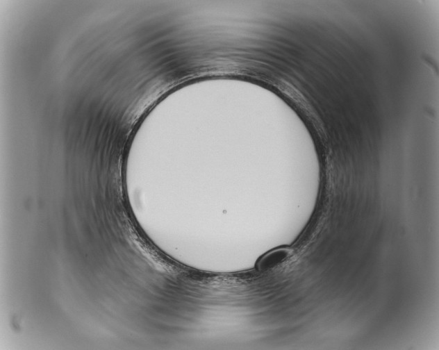 X0000099550842200806131210