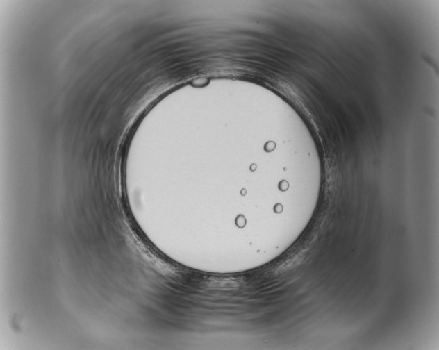 X0000099550843200806131210