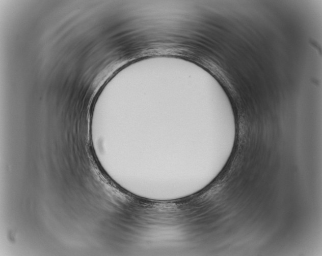 X0000099550844200806131210