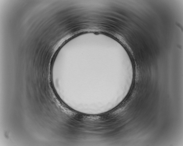 X0000099550845200806131210