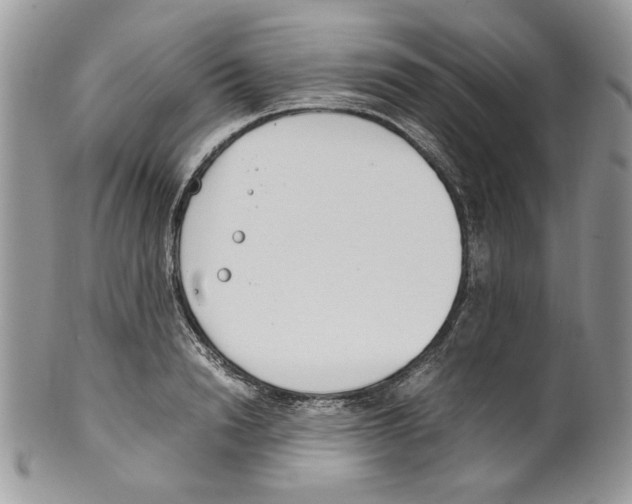 X0000099550846200806131210