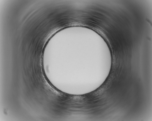 X0000099550847200806131210