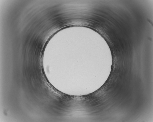 X0000099550848200806131210