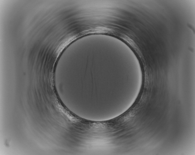 X0000099550850200806131210