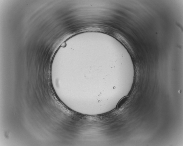 X0000099550852200806131210