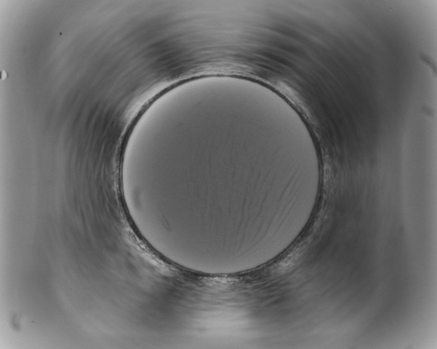 X0000099550854200806131210