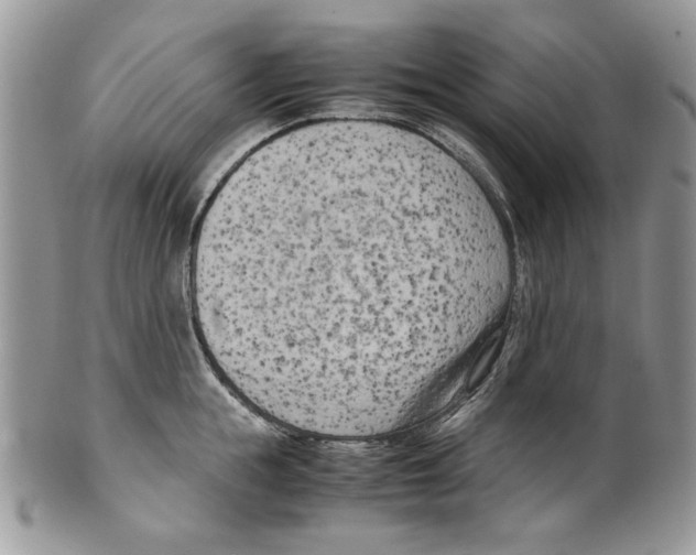 X0000099550855200806131210