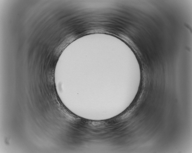 X0000099550857200806131210