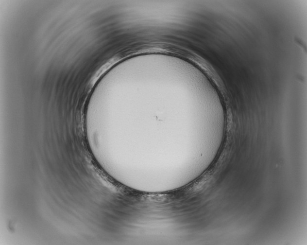 X0000099550858200806131210