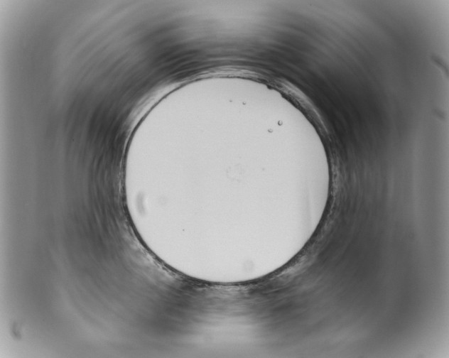 X0000099550860200806131210