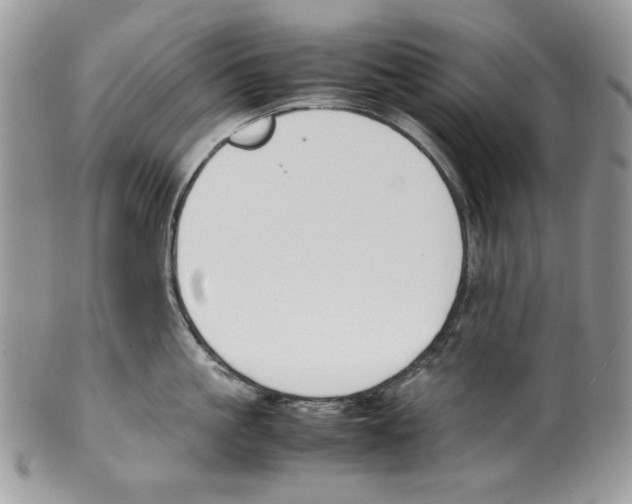 X0000099550861200806131210