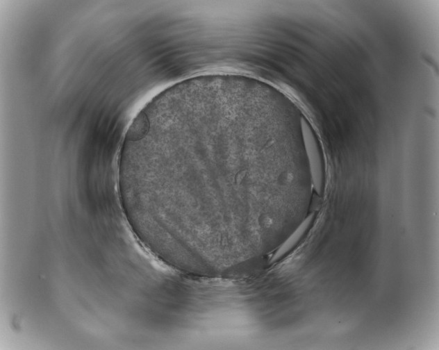 X0000099550862200806131210