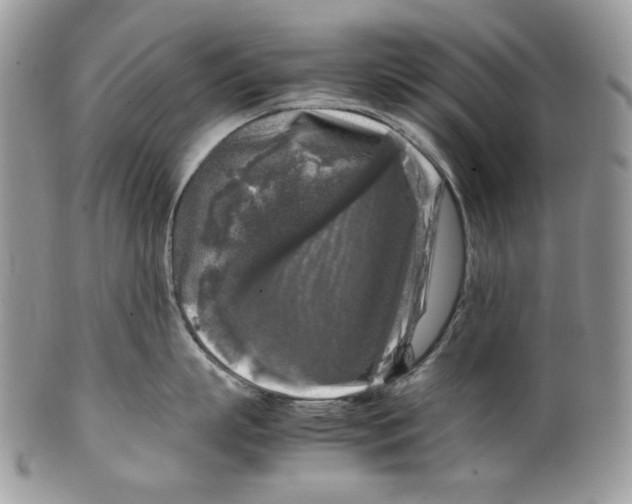 X0000099550863200806131210