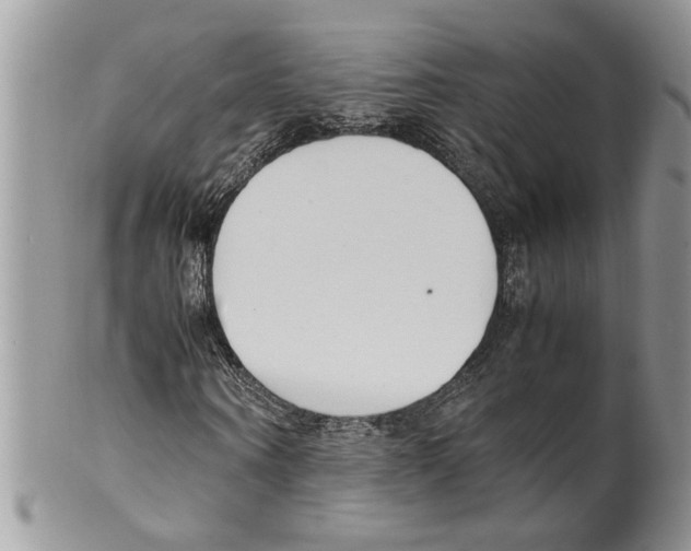 X0000099550866200806131210