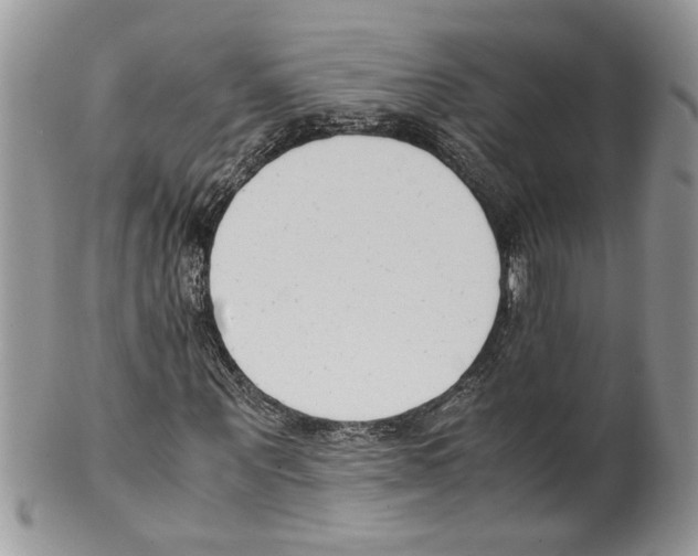 X0000099550867200806131210