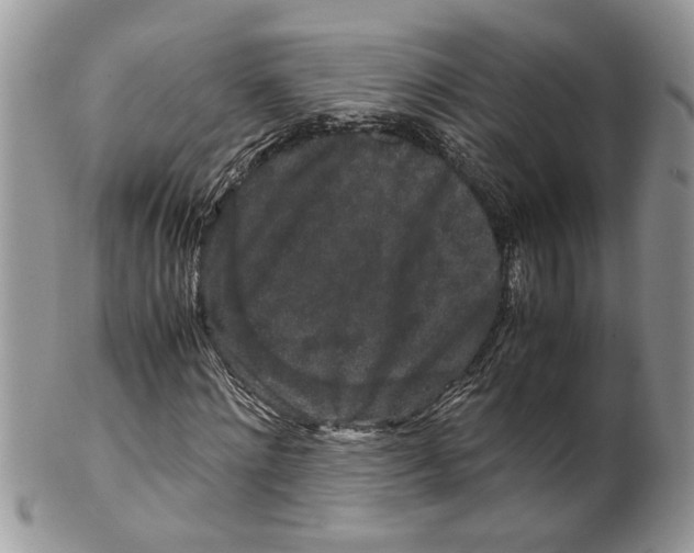 X0000099550868200806131210