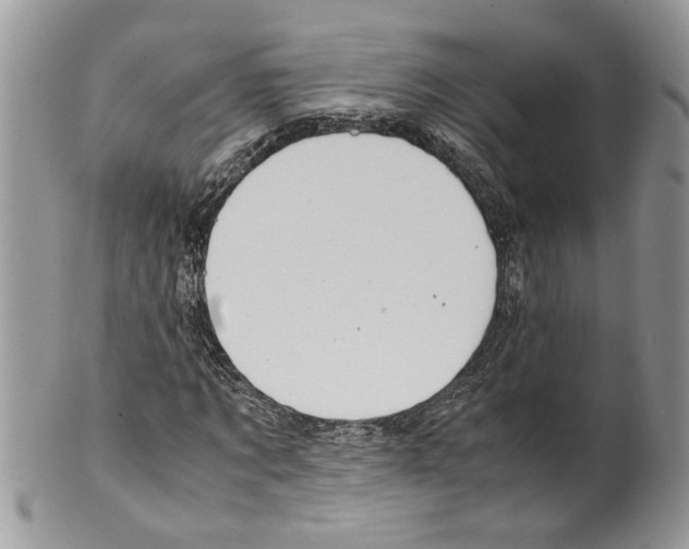 X0000099550869200806131210