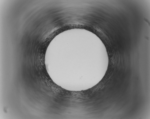 X0000099550870200806131210