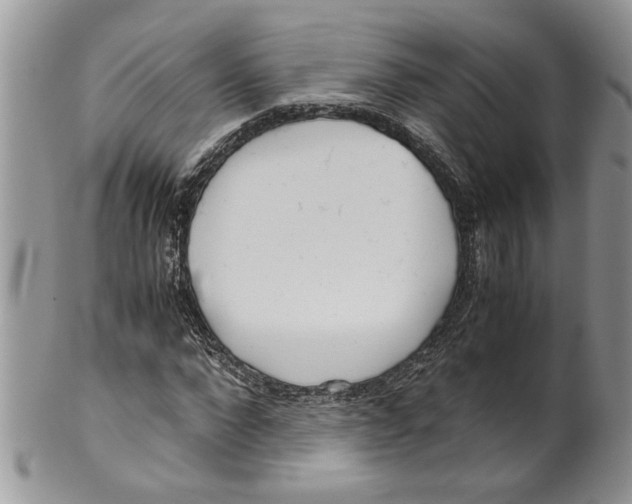 X0000099550872200806131210