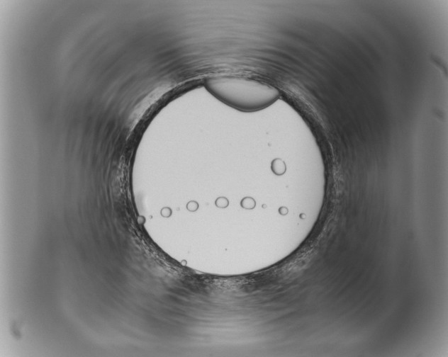 X0000099550875200806131210