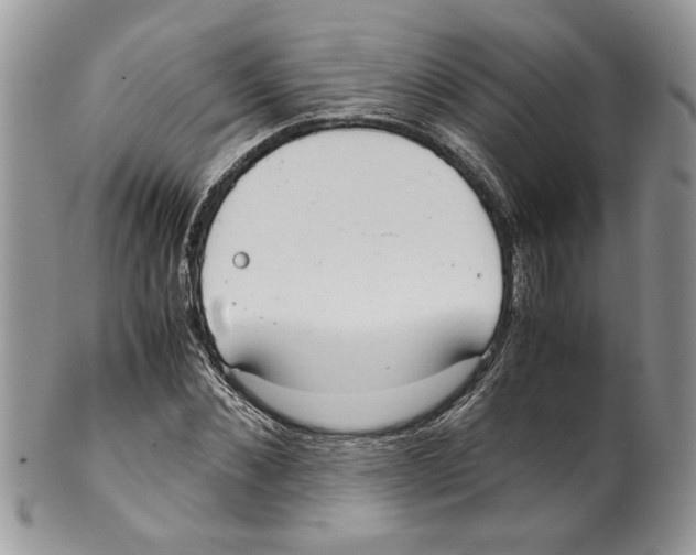 X0000099550876200806131210