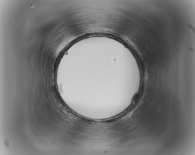 X0000099550877200806131210