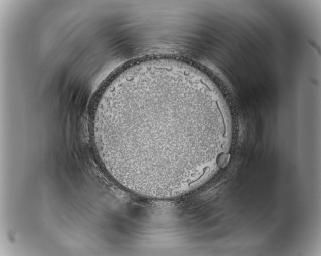 X0000099550878200806131210