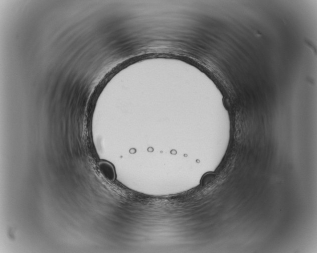 X0000099550880200806131210