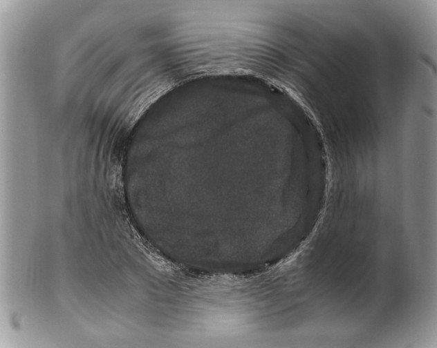 X0000099550881200806131210