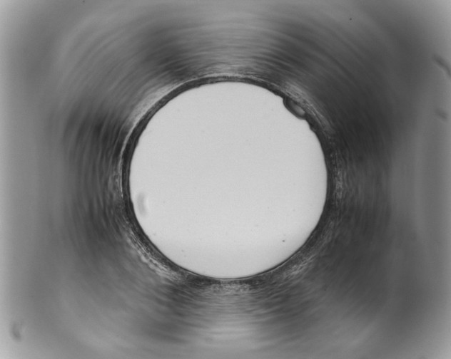 X0000099550884200806131210