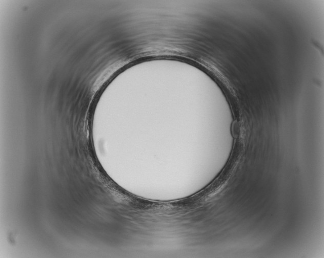 X0000099550885200806131209