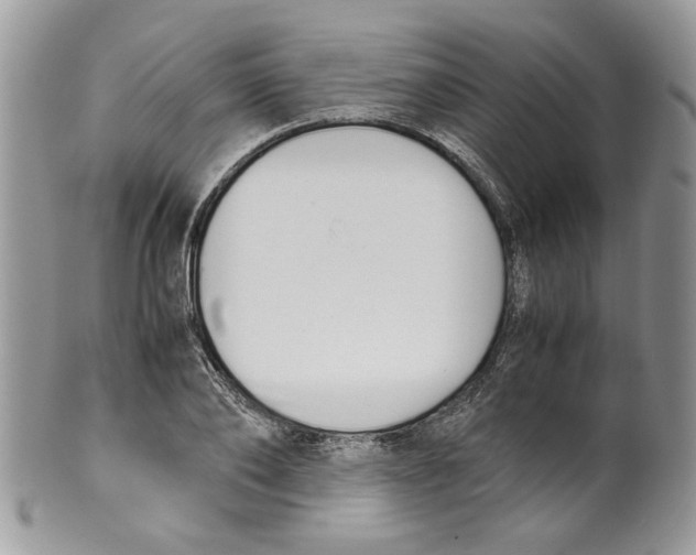 X0000099550886200806131209