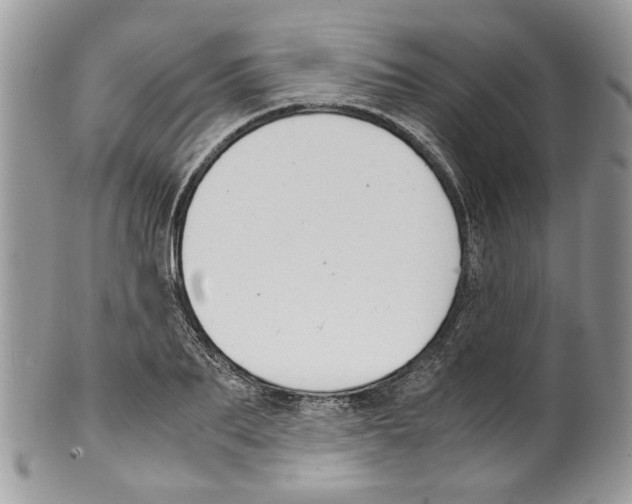 X0000099550887200806131209