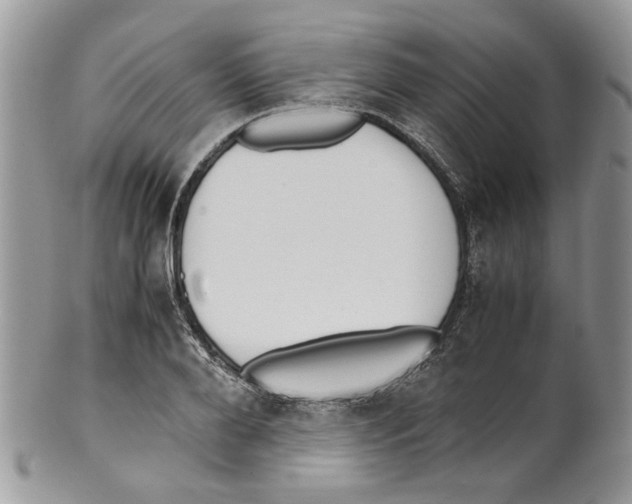 X0000099550888200806131209