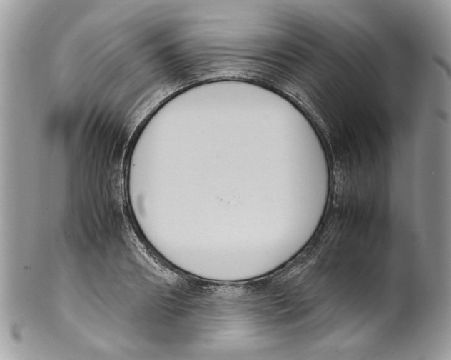 X0000099550890200806131209