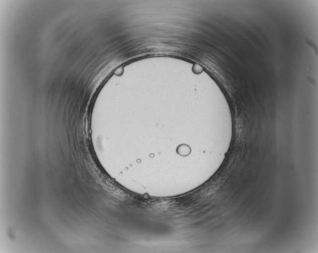 X0000099550891200806131209