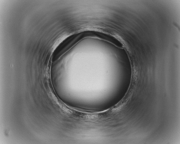 X0000099550893200806131209