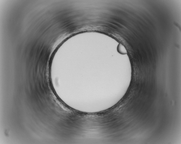 X0000099550894200806131209