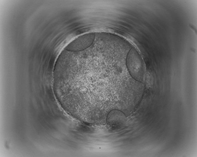 X0000099550895200806131209