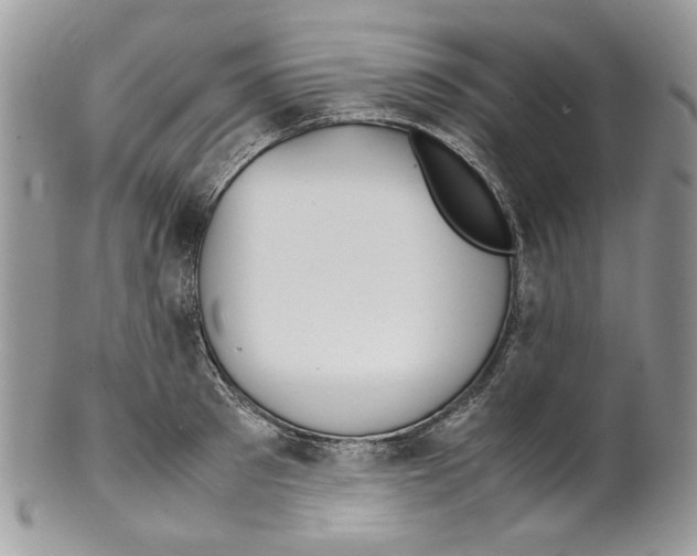 X0000099550897200806131209