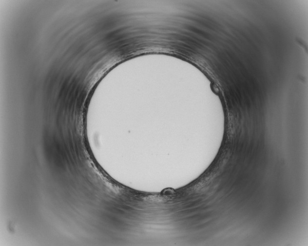 X0000099550898200806131209