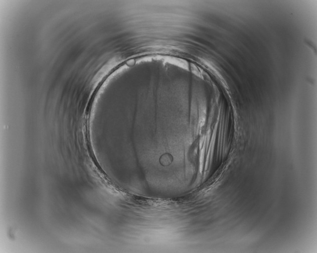 X0000099550899200806131209