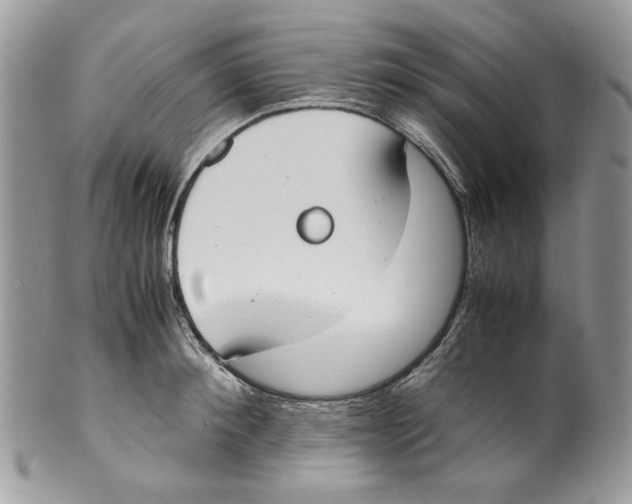 X0000099550900200806131209