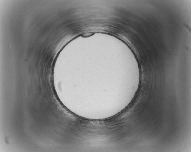 X0000099550901200806131209