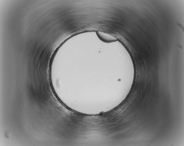 X0000099550902200806131209