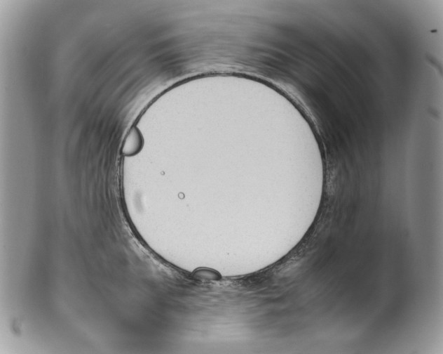 X0000099550903200806131209